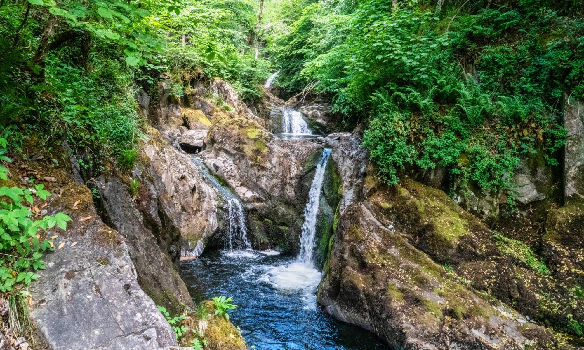 The Green Dragon At Hardraw Dış mekan fotoğraf